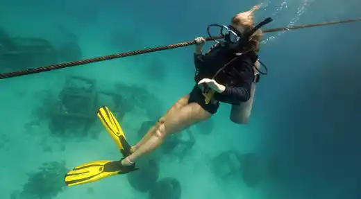 SSI Basic Diver student practising an open water descent using a training line with Echo Divers Koh Tao.