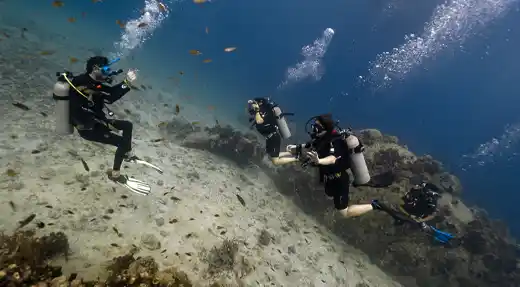 Fun diver exploring the HTMS Sattakut wreck in Koh Tao with Echo Divers, with other divers in the background.