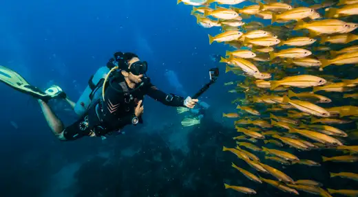 Scuba diver swimming calmly beside a school of fish in Koh Tao with Echo Divers Koh Tao