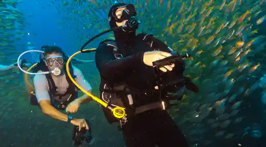 echo divers koh tao scuba divers in fish cloud kohtao thailand