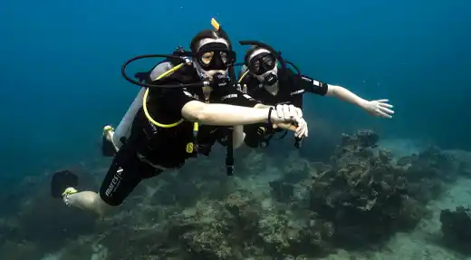 echo divers koh tao small group course training reef dive kohtao thailand