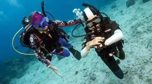 Two divers practising compass navigation underwater during the SSI Navigation Specialty course with Echo Divers Koh Tao.