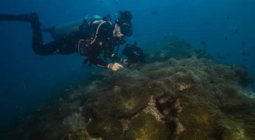 Echo Divers Koh Tao pro underwater videography diver filming a reef with a camera housing and video lights, Koh Tao, Thailand