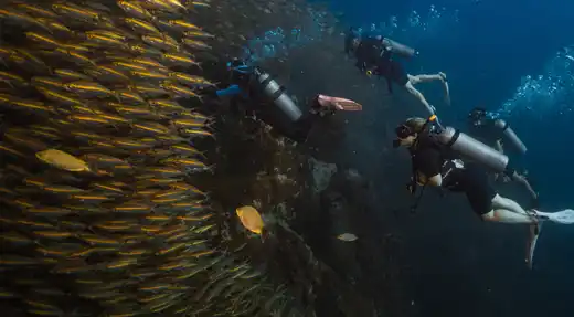Echo Divers Koh Tao Echo Hostel rooftop bar cocktail selection on the counter, Koh Tao, Thailand