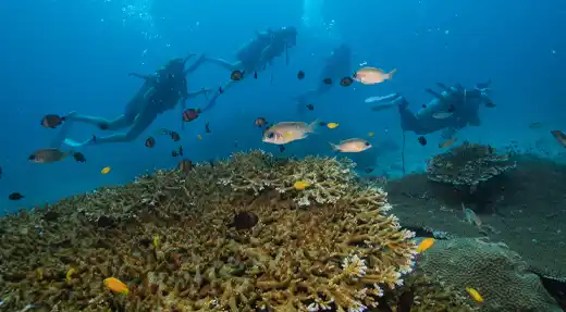 Echo Divers Koh Tao Echo Hostel rooftop bar cocktail selection on the counter, Koh Tao, Thailand